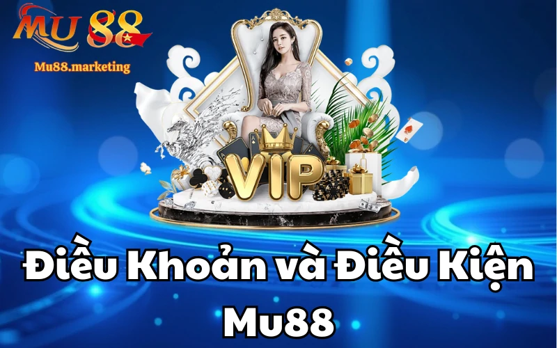 dieu-khoan-va-dieu-kien